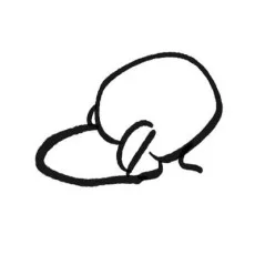 하비