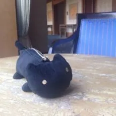 有栖サリ