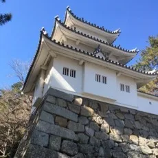 巽未頼