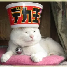 きー子