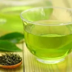 福寿草真