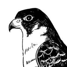 森キヨウ