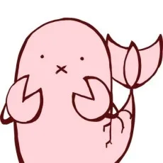 さくらえびちま