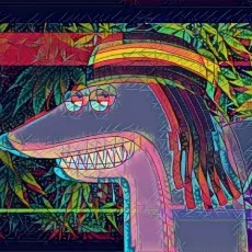 白雨松