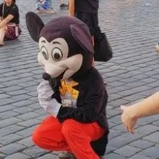 八木羊