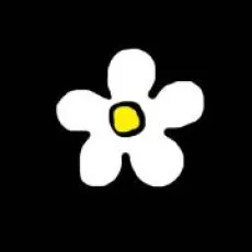 三拾