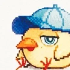 柚ノ木ヒヨト