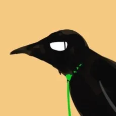 カラスBTK