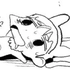 九駄礁太