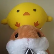 晴日青