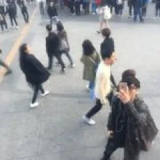 金明豪