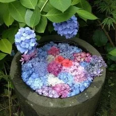 水水水水水