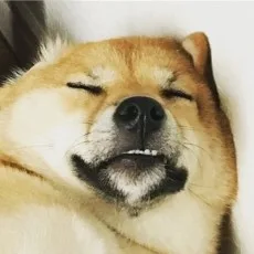 渡邊竜実