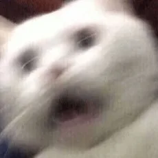 꿀물