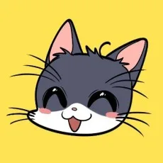 재라