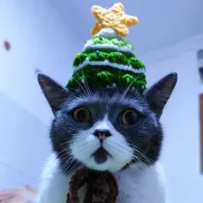 阿瓜大侠