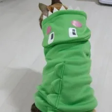 비향