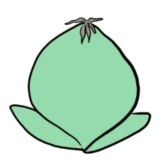 文屋リヱ