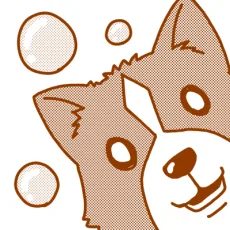 直晴