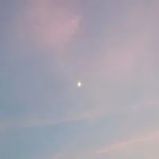 솔방울