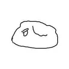 Onai