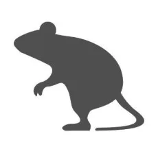ひのすばる