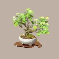 ずじ