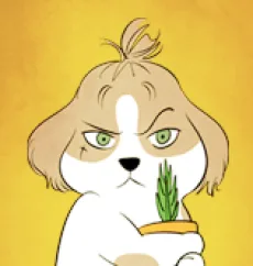 루시드