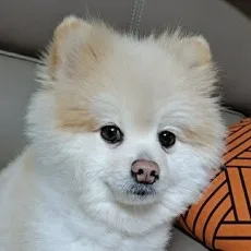 이제환