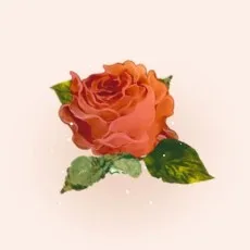 春野なぎ