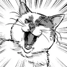 弓取葵