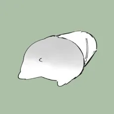 咲みなん
