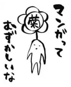 菊光為成