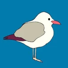 浜園わもめ
