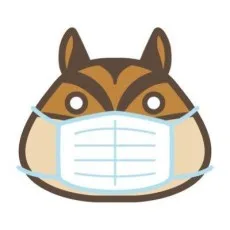 三角くるみ