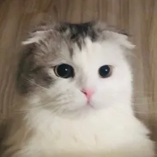 우주봄봄