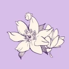 綾瀬きょうな