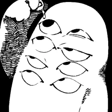 八ツ目青児