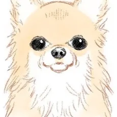 ぐうすか