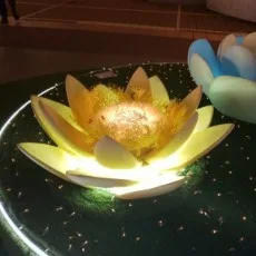 蓮井きよ