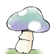 富塚ミヤコ