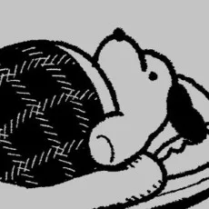 今東ともよ