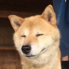 奥田たすく