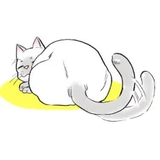 かしわ