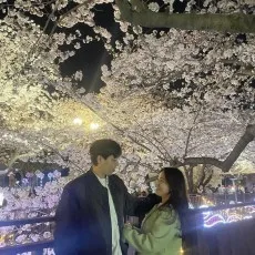 경우