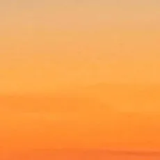 정이품