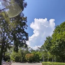 城野白