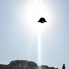 空飛ぶひよこ