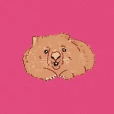 向島ワタル