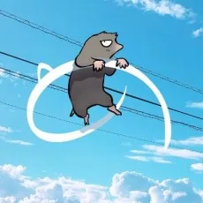 杢